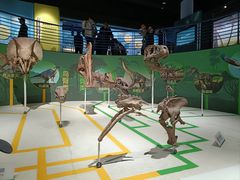 -国家自然博物馆