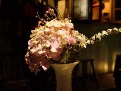 -樹下遇见树·咖啡