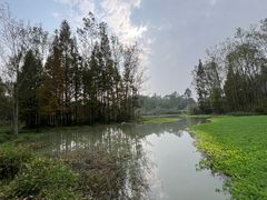 -桤木河湿地公园