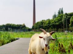 -祝甸砖窑文化馆