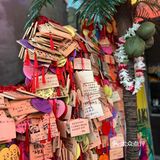 三里屯网红瀑布芝士鸡，韩范儿超正