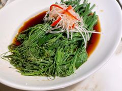 白灼丝瓜尖-初蓉丨遇见新川菜(亲贤街荣耀店)
