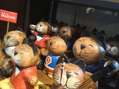 -猫咪博物馆(顶澳仔猫街店)