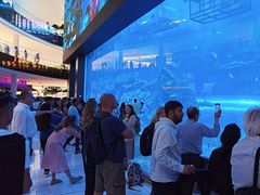 -迪拜水族馆及水下动物园