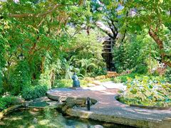 -香港大学