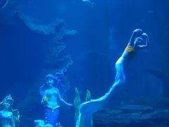 -多彩贵州城极地海洋世界