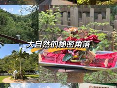 -野象谷景区