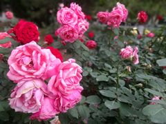 -北京国家会计学院