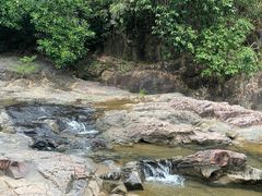 -广州白江湖森林公园