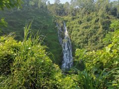 -水濂山森林公园