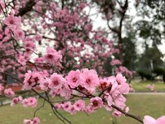 -四川大学(望江校区)