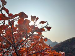 -南窖乡水峪村山情农家
