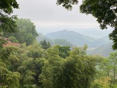 -莫干山风景区