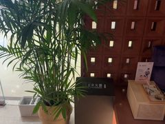 -LANN I 蘭·泰式古法按摩(高岛屋百货店)