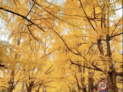 -四川大学(华西校区)