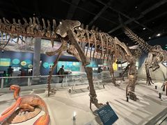 -国家自然博物馆