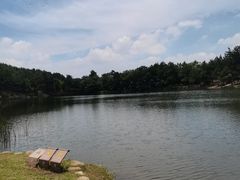 -南京市无想山景区