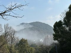 -杭州少年儿童公园