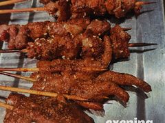 -杨氏青龙虾·羊蝎子(托乐嘉店)