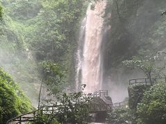 -莫里热带雨林景区
