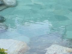 -东方华地城湿地温泉度假区