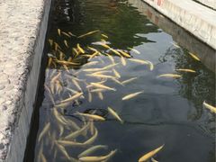 -北京水岸山吧度假村(雁栖镇店)