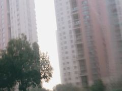 -博澳丽苑