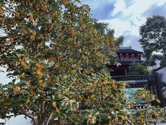 -惠山古镇·寄畅园