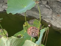 -李叔同故居纪念馆