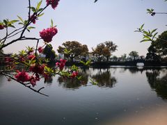 -无锡蠡湖国家湿地公园-蠡园