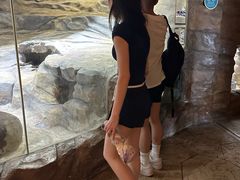 -香港海洋公园