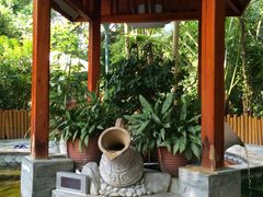 -碧水湾温泉