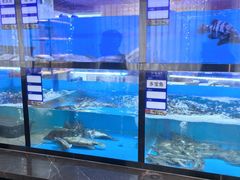 -聚宾楼·烤鸭·家宴(科技三路店)