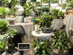 -循礼门鲜花花市(武汉循礼门店)