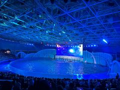 -海合安青岛极地海洋公园
