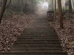 -缙云山景区