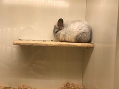 -龙猫仔乐园(惠福东路店)