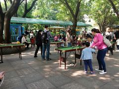 -晓港公园