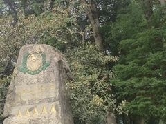 -青城山