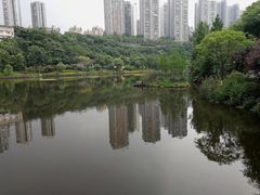 -重庆彩云湖湿地公园