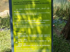 -云溪植物园