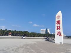 -东郊椰林