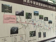 -牛背梁国家森林公园