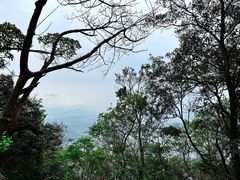 -梧桐山风景名胜区