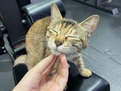 -AK健身普拉提拉伸私教馆(中八店)