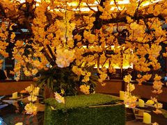 -青泰足浴·SPA养生连锁(新区店)