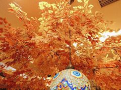 -君邦火锅(新疆大厦店)
