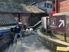 -苍山感通索道