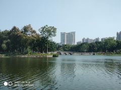 -荔湾湖公园