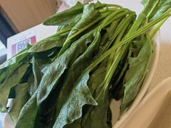 -蝎王府羊蝎子(北大地店)